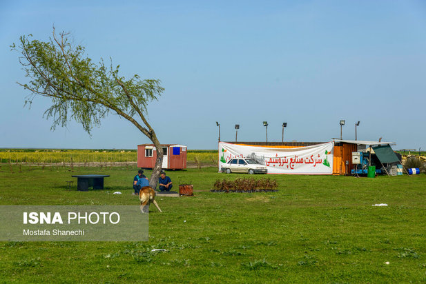 پتروشیمی میانکاله