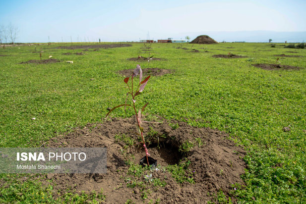 پتروشیمی میانکاله