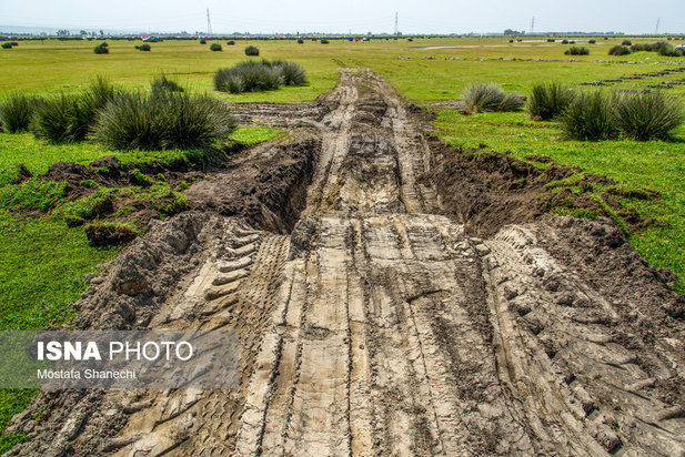 پتروشیمی میانکاله