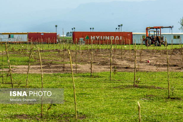 پتروشیمی میانکاله
