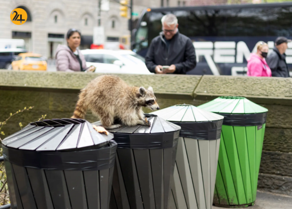 حیات وحش در هفته ای که گذشت