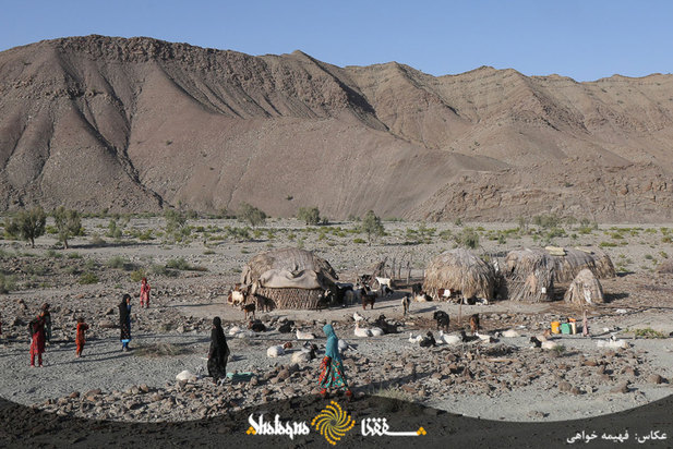 دام های مردم محروم بشاگرد