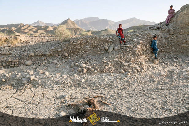 دام های مردم محروم بشاگرد