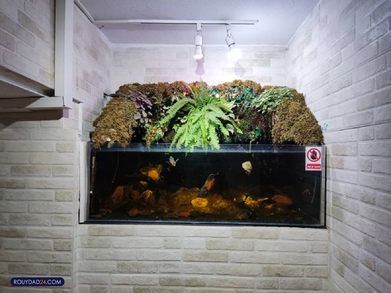 آکواریوم پارک شهر