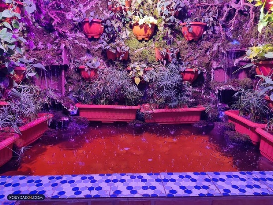 آکواریوم پارک شهر