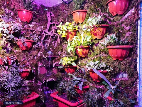 آکواریوم پارک شهر