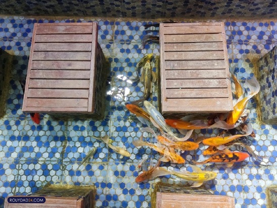 آکواریوم پارک شهر