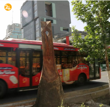 چنارهای بی‌جان ولیعصر جان تازه‌ای یافتند