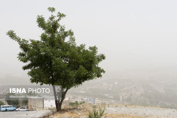 تعطیلی شهرها در پی آلودگی هوا