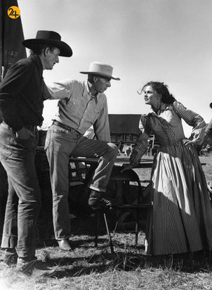 هاوارد هاوکس به روایت تصویر