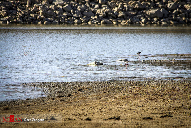 سد آبشینه همدان