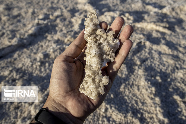 هورالعظیم در آستانه نابودی