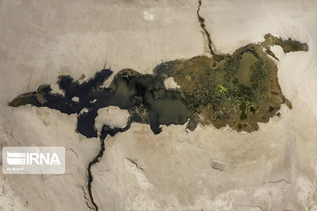 هورالعظیم در آستانه نابودی