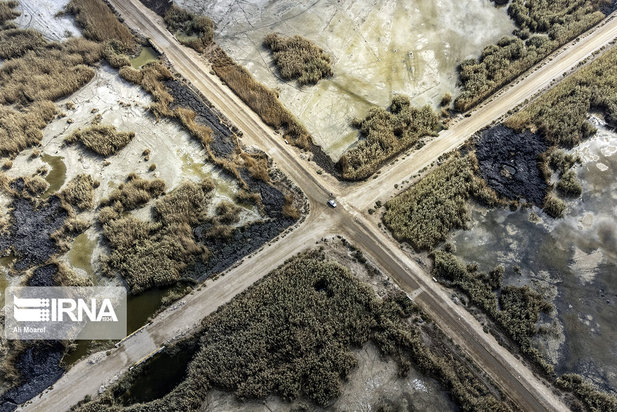 هورالعظیم در آستانه نابودی