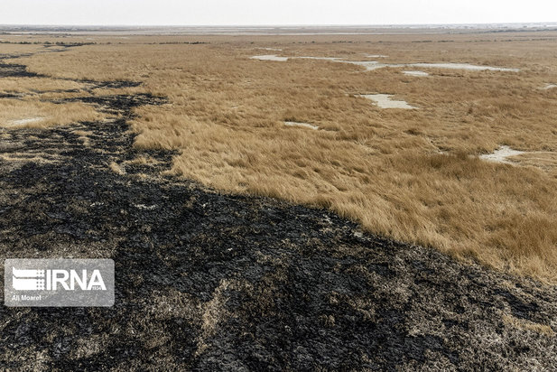 هورالعظیم در آستانه نابودی