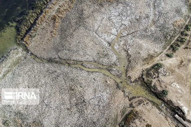 هورالعظیم در آستانه نابودی