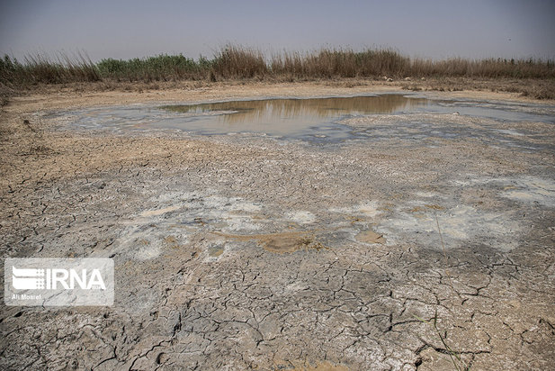 هورالعظیم در آستانه نابودی