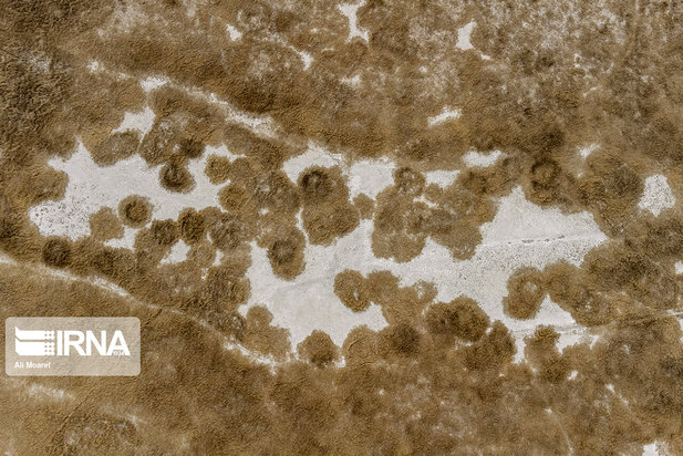 هورالعظیم در آستانه نابودی