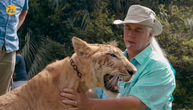 دستگیری داک آنتل قاچاقچی حیات وحش