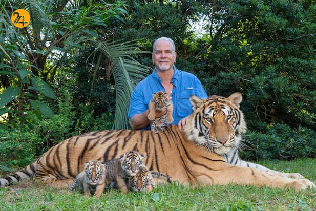 دستگیری داک آنتل قاچاقچی حیات وحش