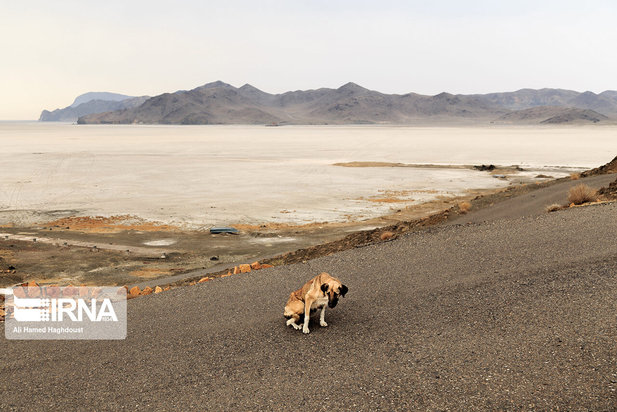 دریاچه ارومیه یا کویر نمک