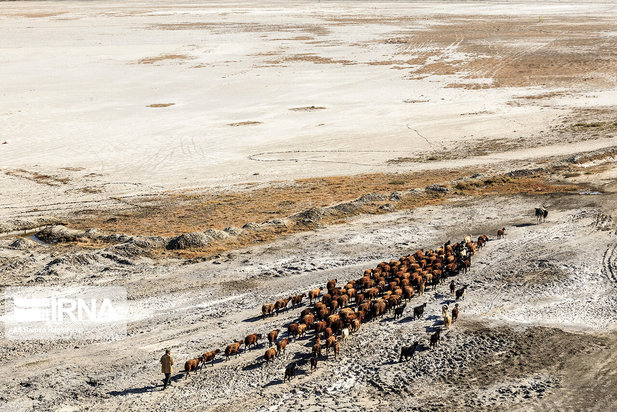 دریاچه ارومیه یا کویر نمک