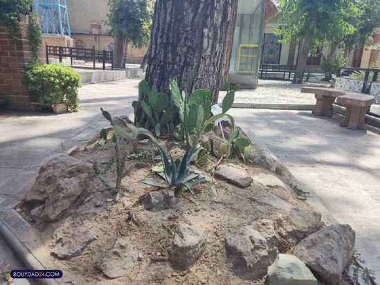 موزه حیات وحش هفت چنار