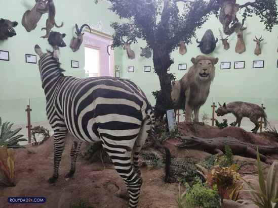 موزه حیات وحش هفت چنار