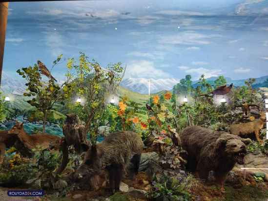 موزه حیات وحش هفت چنار