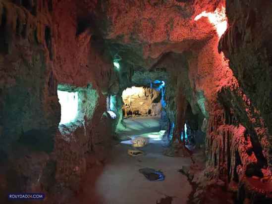 موزه حیات وحش هفت چنار