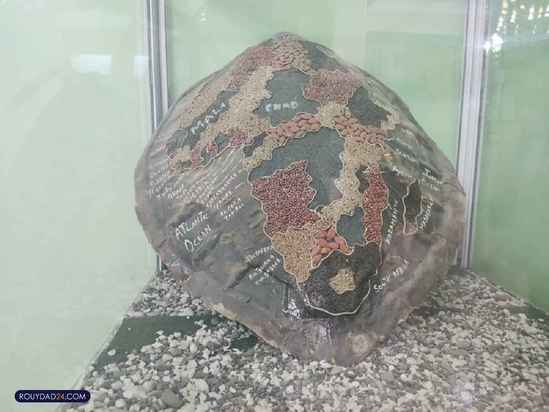 موزه حیات وحش هفت چنار