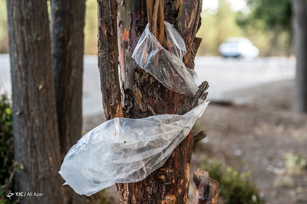 زمین در تسخیر پلاستیک