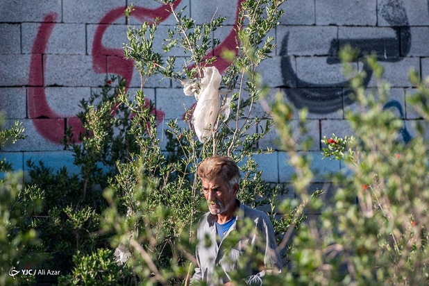 زمین در تسخیر پلاستیک