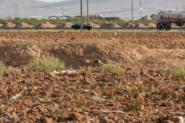 زمین در تسخیر پلاستیک