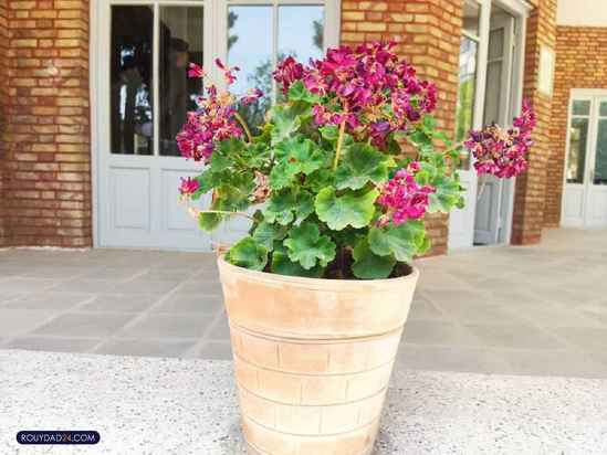 خانه موزه نیما یوشیج