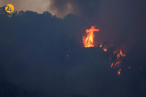 آتشسوزی در جنگل ملی کالیفرنیا