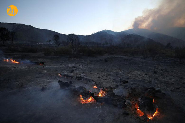 آتشسوزی در جنگل ملی کالیفرنیا