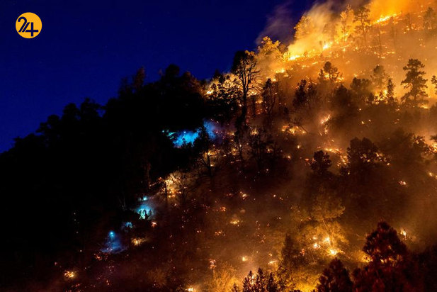 آتشسوزی در جنگل ملی کالیفرنیا