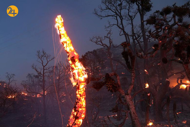 آتشسوزی در جنگل ملی کالیفرنیا