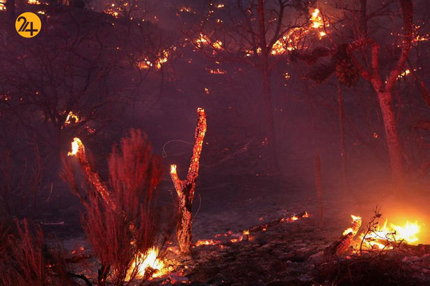 آتشسوزی در جنگل ملی کالیفرنیا