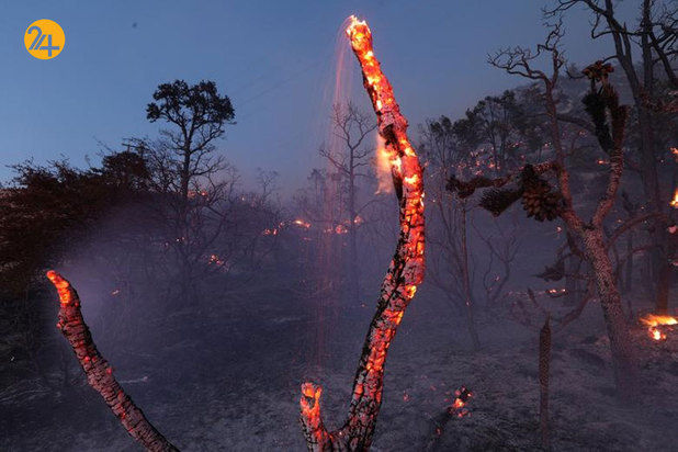 آتشسوزی در جنگل ملی کالیفرنیا