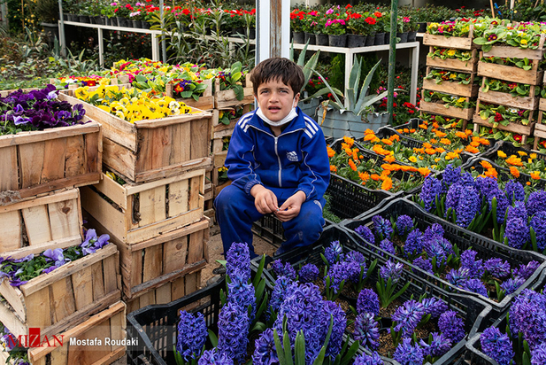 کودکان کار ایران
