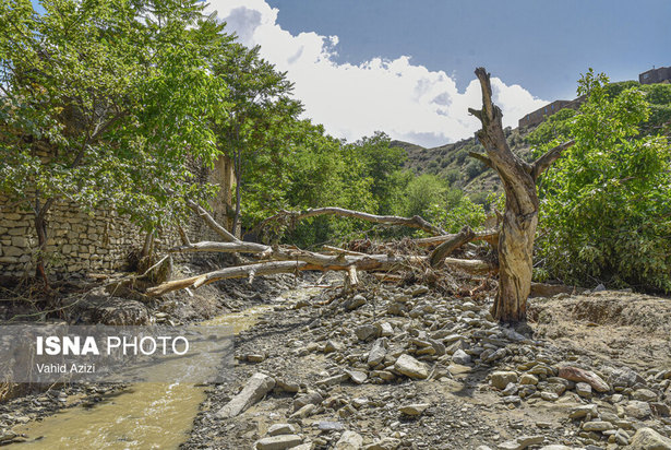 خسارت سیل در روستای تلکه قوز