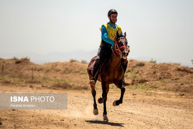 رقابت‌های اسب سواری استقامت قهرمانی کشور