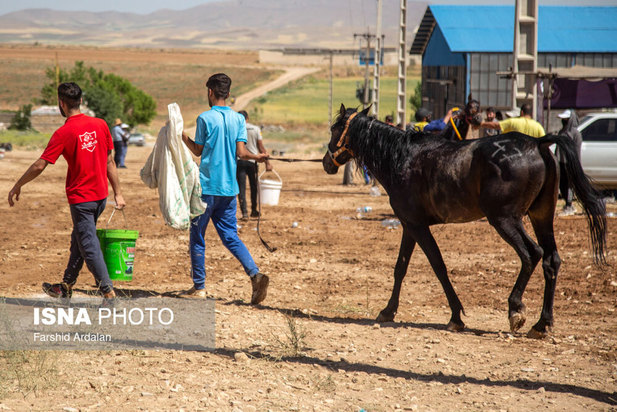 رقابت‌های اسب سواری استقامت قهرمانی کشور