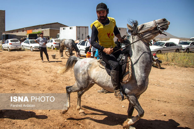 رقابت‌های اسب سواری استقامت قهرمانی کشور