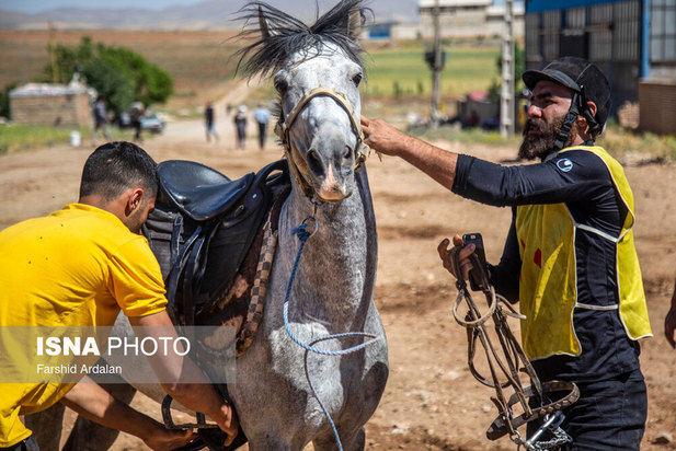 رقابت‌های اسب سواری استقامت قهرمانی کشور