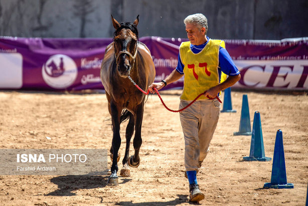 رقابت‌های اسب سواری استقامت قهرمانی کشور