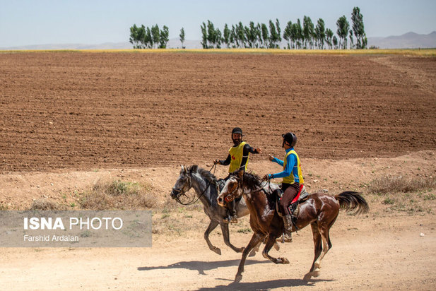 رقابت‌های اسب سواری استقامت قهرمانی کشور