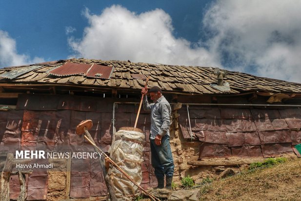 دامداری سنتی مازندران